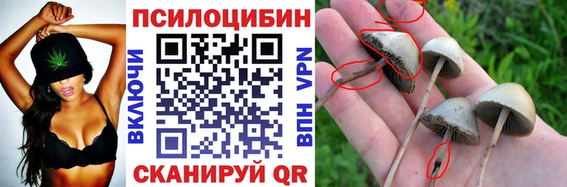 Псилоцибиновые грибы мухоморы  Курск 